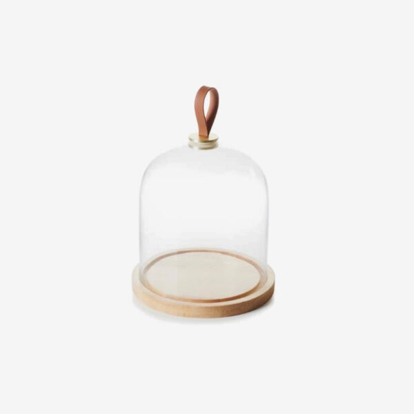 Glass Cloche & Oak base