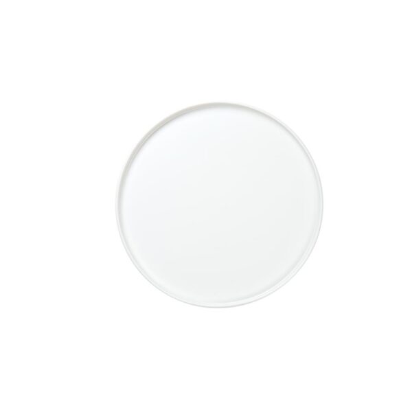 Dinner Plate