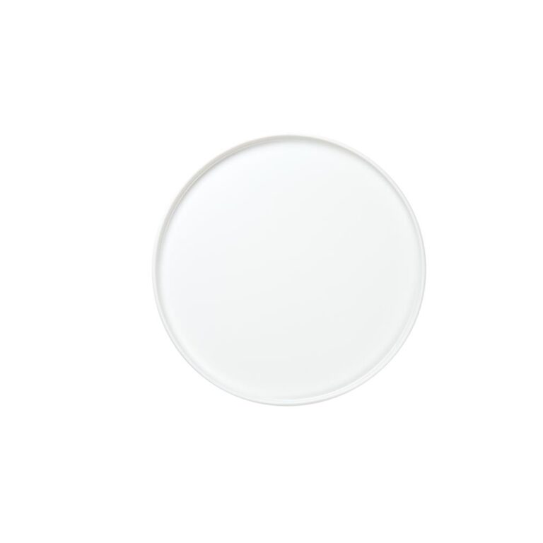 Dinner Plate