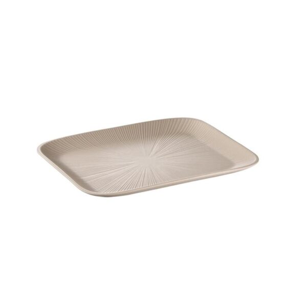 Gn1/2 Tray - Image 2